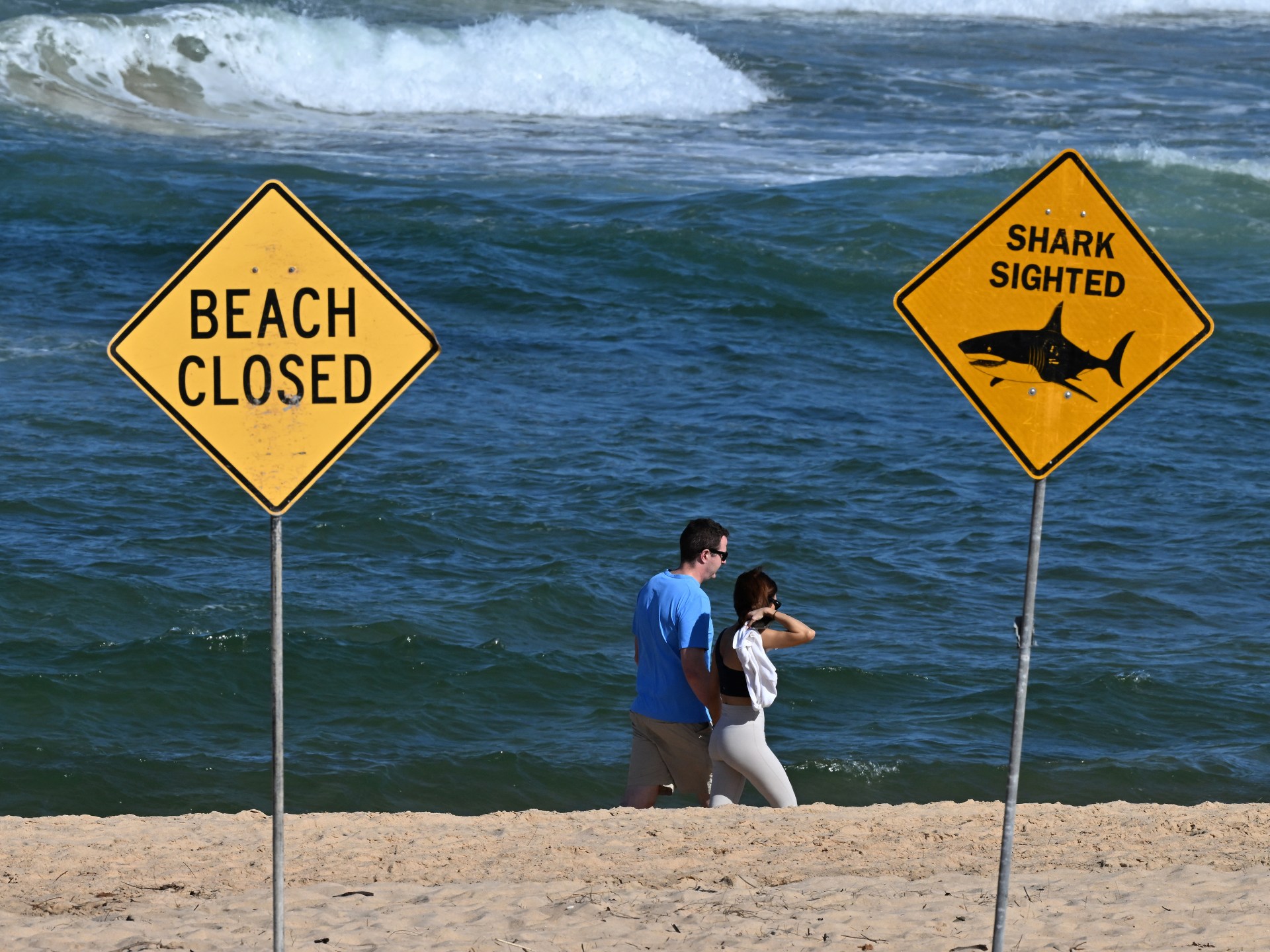 Fatal Shark Incident Reported Off Western Australian Coast