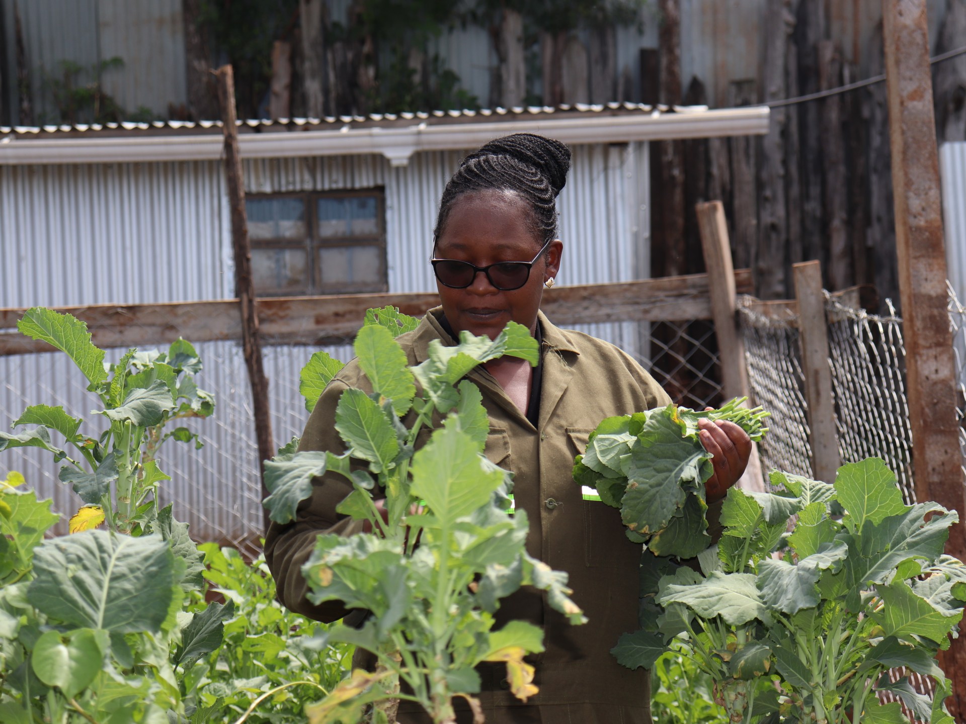 Kenyan Graduates Embrace AI and Digital Tools for Sustainable Farming Amidst Job Scarcity