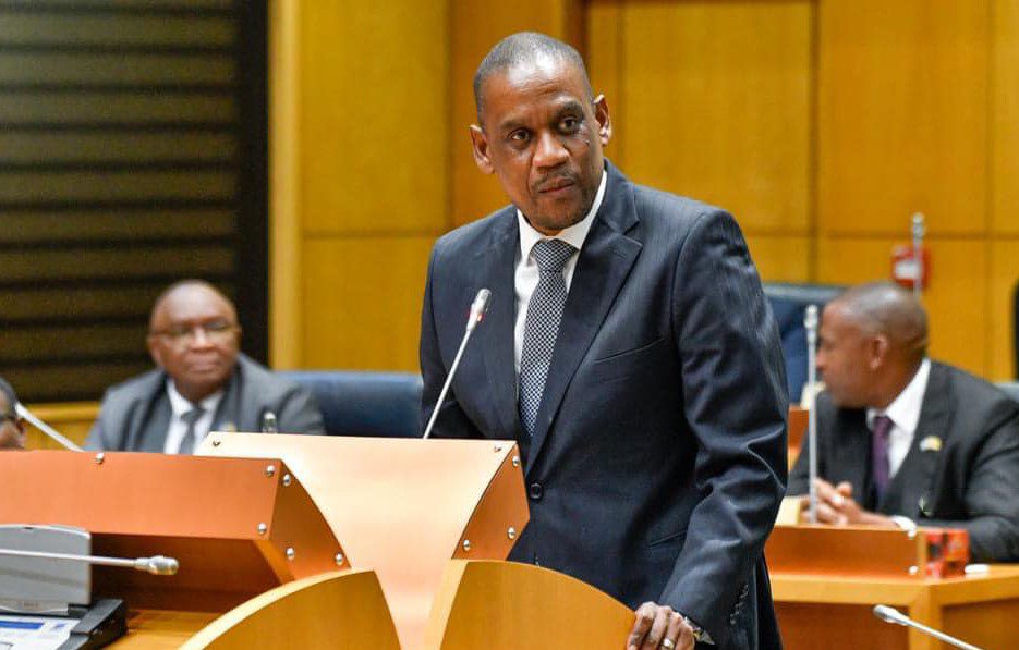 Policy in Focus: Dumelang Saleshando's Economic Platform and Social Welfare Proposals