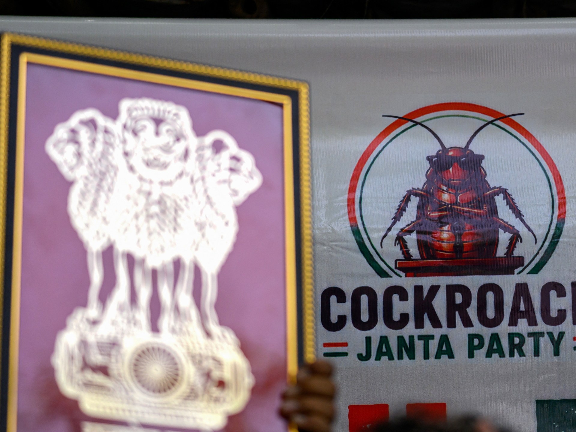 Satirical 'Cockroach People's Party' Organizes Protest in New Delhi