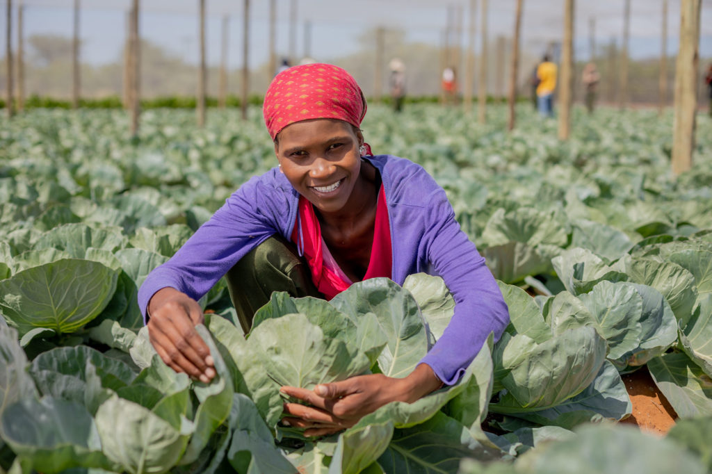 Understanding Botswana's Unemployment Numbers: A Data-Driven Analysis